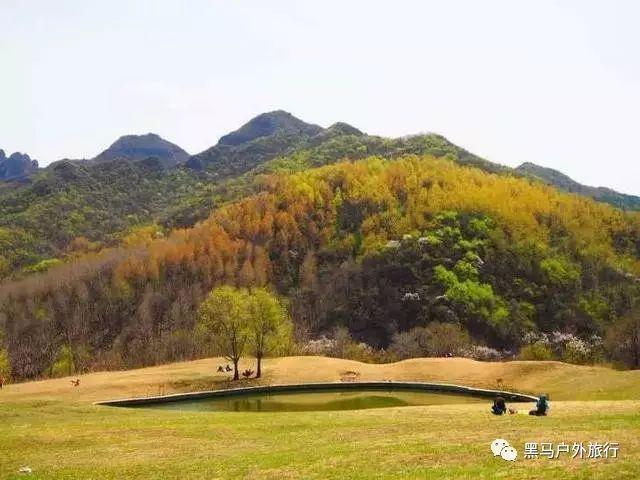 我家孩子上小学已经好几年了，现在让他课余时间学习特长会不会很晚游戏画面